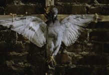 CINECLUB VIC. El príncep de les tenebres