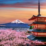 Cherry blossoms in spring, Chureito pagoda and Fuji mountain at