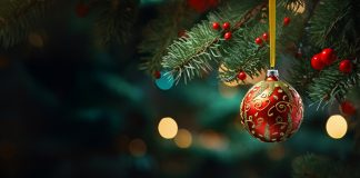 El bo de Dickens i el Nadal