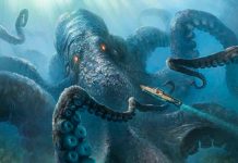 Les sorpreses que hi ha sota el mar