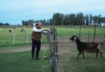 Crítica + Roda de Premsa de “Cuando acecha la maldad”, de Demián Rugna. Festival de Sitges 2023