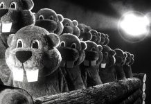 Crítica + Q&A de “Hundreds of Beavers”, de Mike Cheslik. Festival de Sitges 2023
