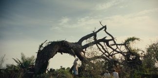 CINECLUB VIC. La imatge permanent