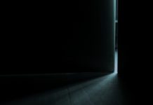 ‘Compañias silenciosas’, Laura Purcell