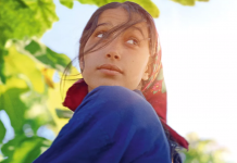 CINECLUB VIC. Sota les figueres