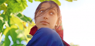 CINECLUB VIC. Sota les figueres