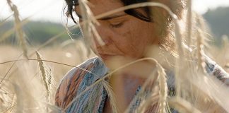 CINECLUB VIC. O corno