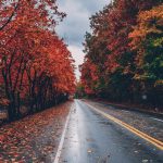 Beautiful wide shot of a road surrounded by trees with colorful leaves during fall