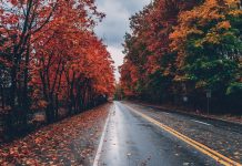 ‘Entre los muertos’, Mikel Santiago