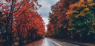 ‘Entre los muertos’, Mikel Santiago