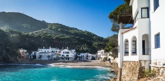 ‘Guanyaràs una mar llisa’, Miquel Martín i Sierra