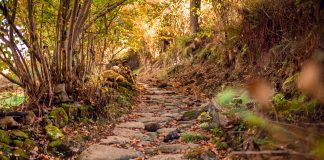 CLUB DE LECTURA. ‘Junil a les terres dels bàrbars’