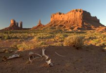 ‘Cròniques americanes’, Kris Ubach