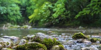 ‘Blackwater I. La riuada’, Michael McDowell