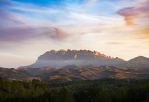 PRESENTACIÓ. ‘Les torres del cel’, Coia Valls