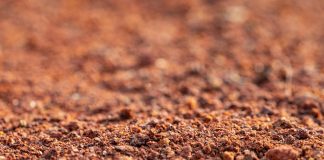 ‘Les terres dels cossos que es desfan’, Roger Coch