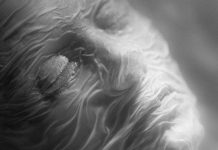 Crítica + Q&A de ‘Else’, de Thibault Emin. Festival de Sitges 2024