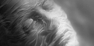 Crítica + Q&A de ‘Else’, de Thibault Emin. Festival de Sitges 2024