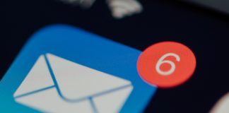 ‘Querido capullo’, Viriginie Despentes