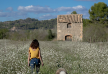 CINECLUB VIC. Los destellos