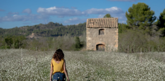 CINECLUB VIC. Los destellos