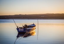 ‘Vent de grop’, Aurora Bertrana