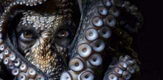 Carter & Lovecraft, Jonathan L. Howard