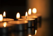 ‘La vida feliz’, David Foenkinos