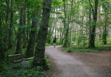 PRESENTACIÓ. ‘Caminades. Dietaris de viatges a peu’, Biel Barnils
