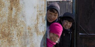 CINECLUB VIC. Si pogués hivernar