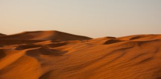 ‘Els ulls de sorra’, Joan-Lluís Lluís