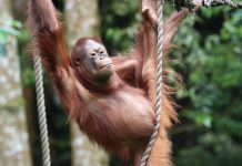 ‘Una cançó de pluja’, Juan-Lluís Lluís