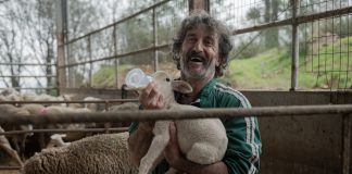 Crítica d’’Animal’