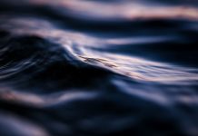 Club de lectura. ‘El pantà maleït’, Tura Soler