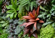 ‘Les devoradores de llum’, de Zoë Schlanger