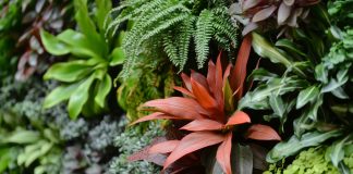 ‘Les devoradores de llum’, de Zoë Schlanger