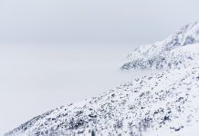 PRESENTACIÓ DE LLIBRE. ‘Tota la terra que el meu cor estima’, Bernat Gasull i Toni Térmens
