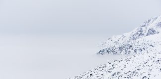 PRESENTACIÓ DE LLIBRE. ‘Tota la terra que el meu cor estima’, Bernat Gasull i Toni Térmens