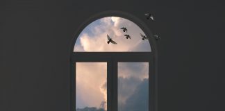 ‘Un nou país més enllà de la finestra’ Theodor Kallifatides