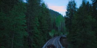 CINECLUB VIC. Somnis de trens