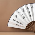 close-up-delicate-fan