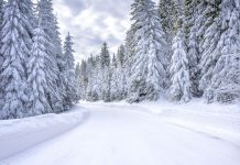PRESENTACIÓ. ‘Quaranta noms de la neu’, Jordi Cruz Serra