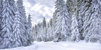 PRESENTACIÓ. ‘Quaranta noms de la neu’, Jordi Cruz Serra