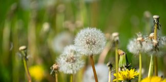 Passejada per la natura amb Godai Garcia