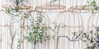 ‘Jo sé per què canta l’ocell engabiat’, Maya Angelou