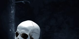 ‘Entre dos fuegos’, de Christopher Buehlman