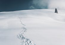 PRESENTACIÓ. ‘Quaranta noms de la neu’, Jordi Cruz Serra