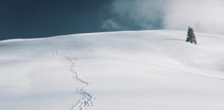 PRESENTACIÓ. ‘Quaranta noms de la neu’, Jordi Cruz Serra